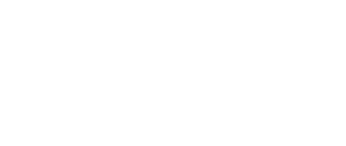 Bizlinkz CFO Services